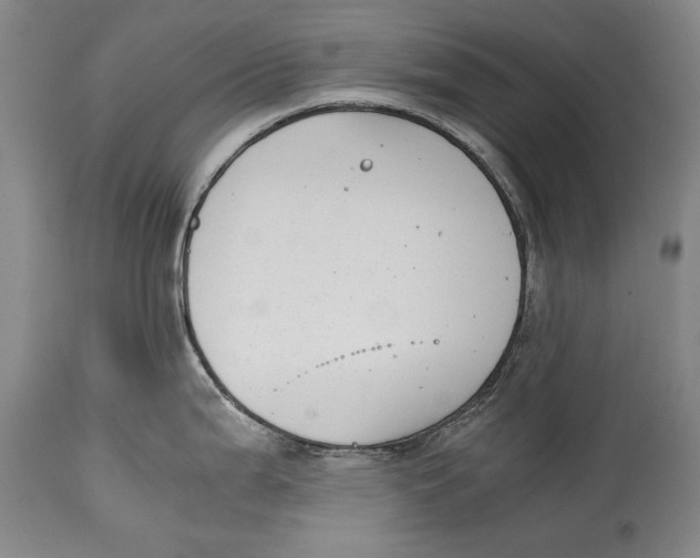 X0000114391199200911061508