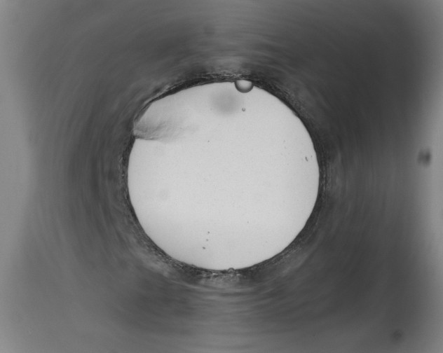 X0000114391201200911061507