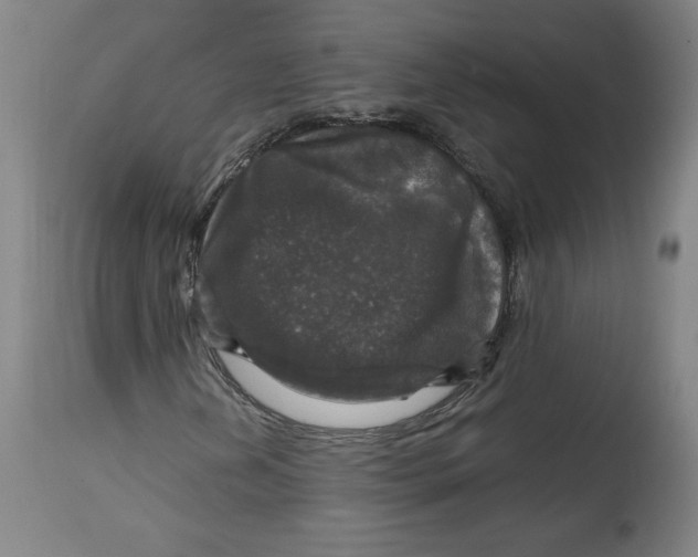 X0000114391202200911061507