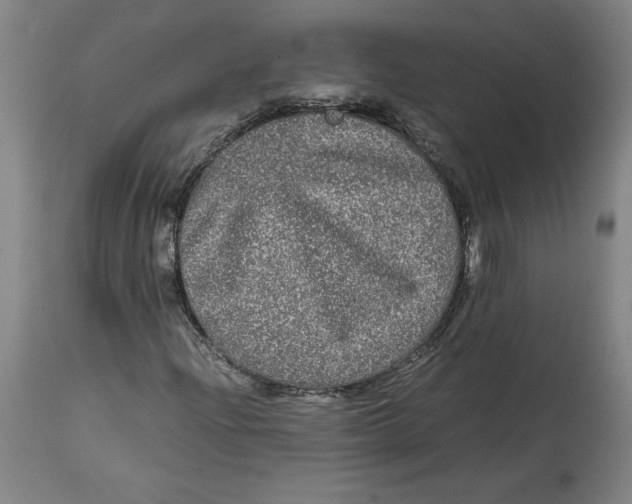 X0000114391204200911061507