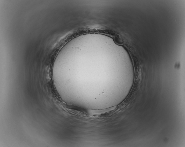 X0000114391205200911061507