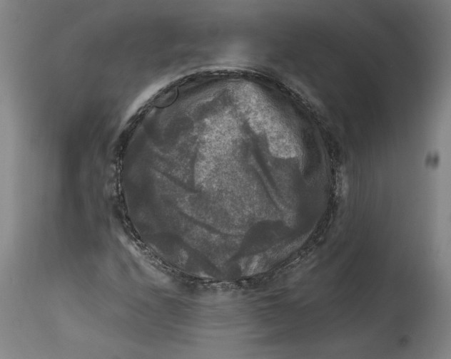 X0000114391208200911061507