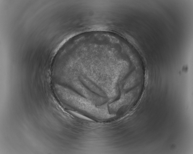 X0000114391212200911061507