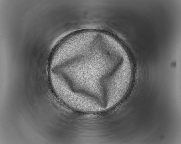 X0000114391214200911061507