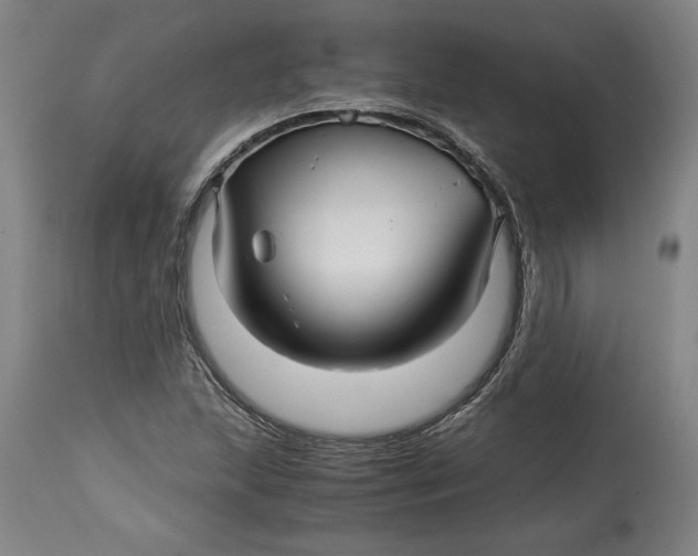 X0000114391215200911061507