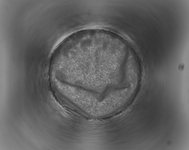 X0000114391216200911061507