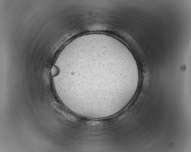 X0000114391217200911061507