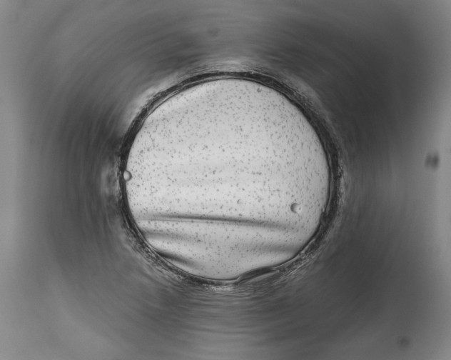 X0000114391218200911061507