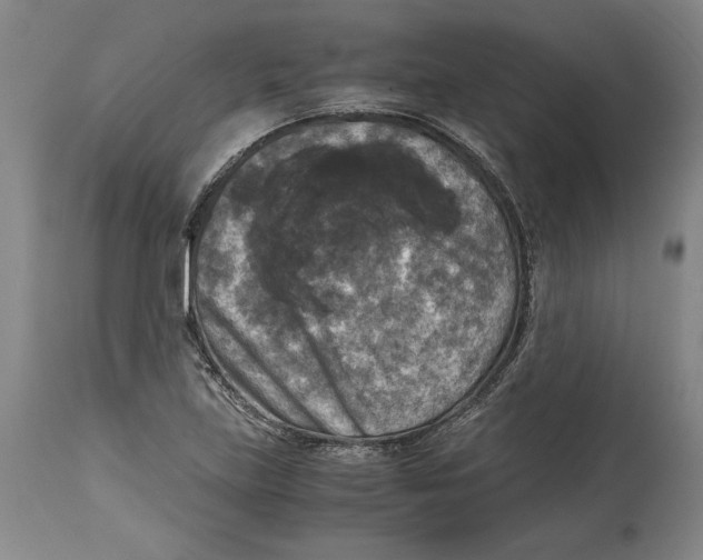 X0000114391219200911061507