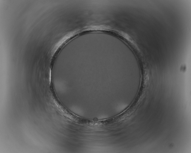 X0000114391221200911061507