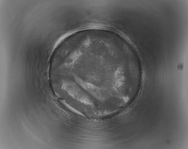 X0000114391222200911061507