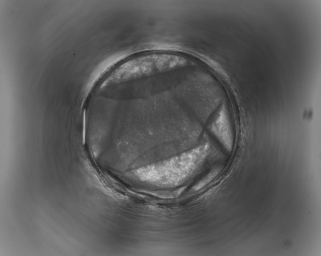 X0000114391223200911061507