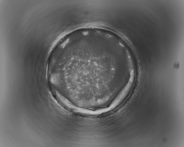X0000114391224200911061507