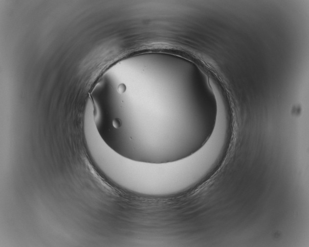 X0000114391225200911061507