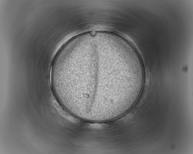X0000114391227200911061507