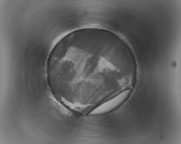 X0000114391230200911061507