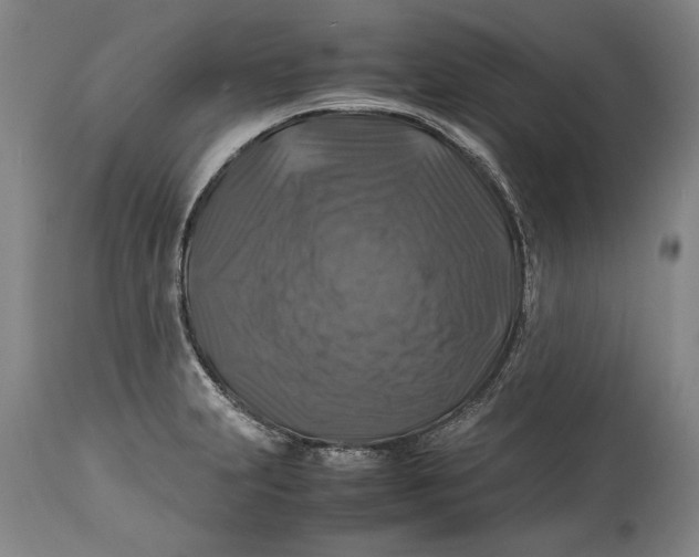 X0000114391231200911061507
