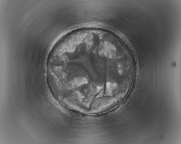 X0000114391232200911061507