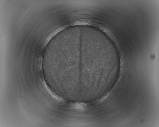 X0000114391233200911061507