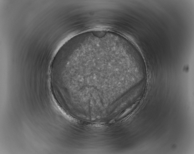 X0000114391235200911061507