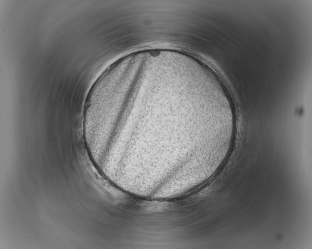 X0000114391236200911061507