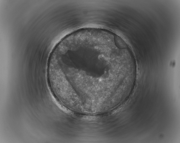X0000114391237200911061507