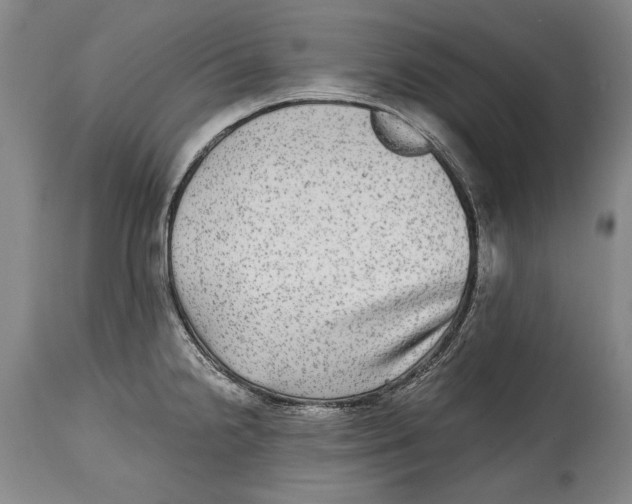X0000114391238200911061507