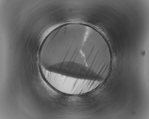 X0000114391239200911061507