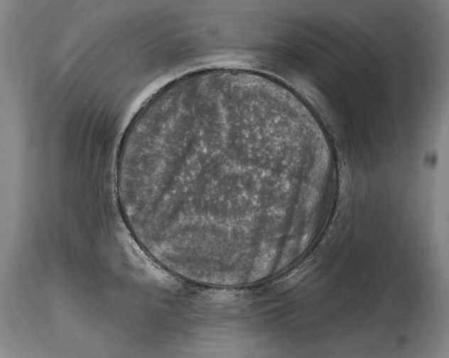 X0000114391240200911061507