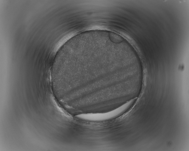 X0000114391241200911061507