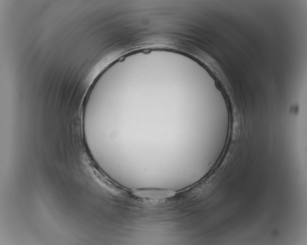 X0000114391242200911061507