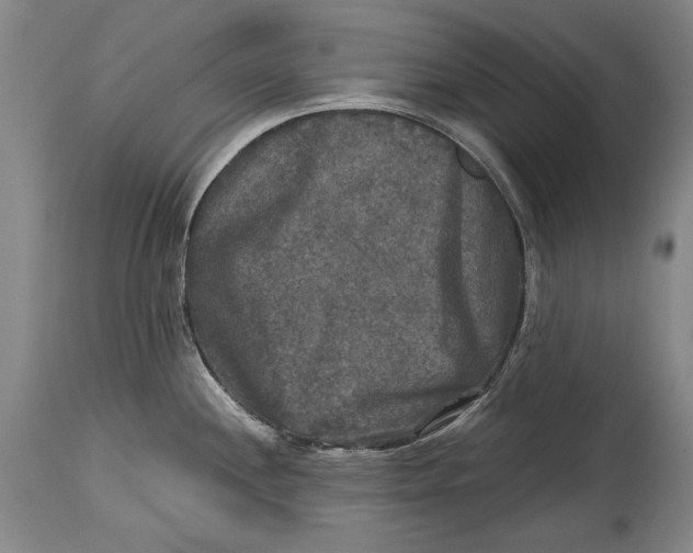 X0000114391244200911061507