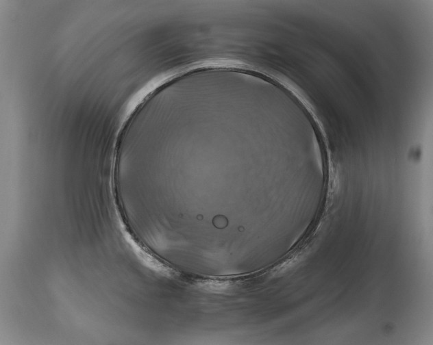 X0000114391245200911061507
