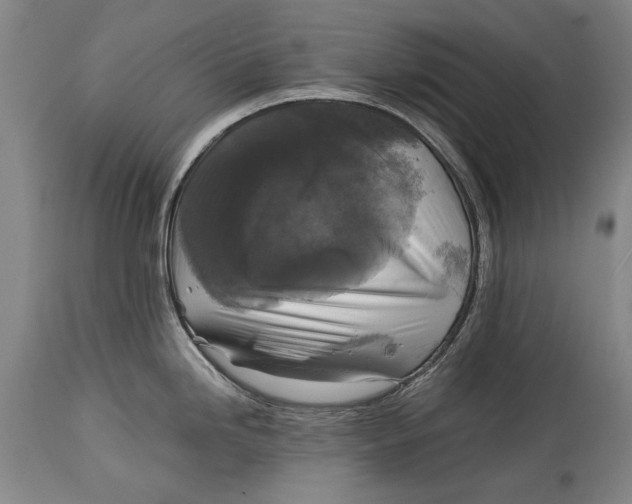X0000114391246200911061507