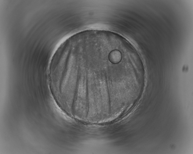 X0000114391248200911061507