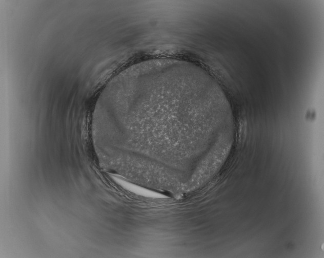 X0000114391250200911061507