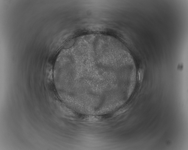 X0000114391251200911061507