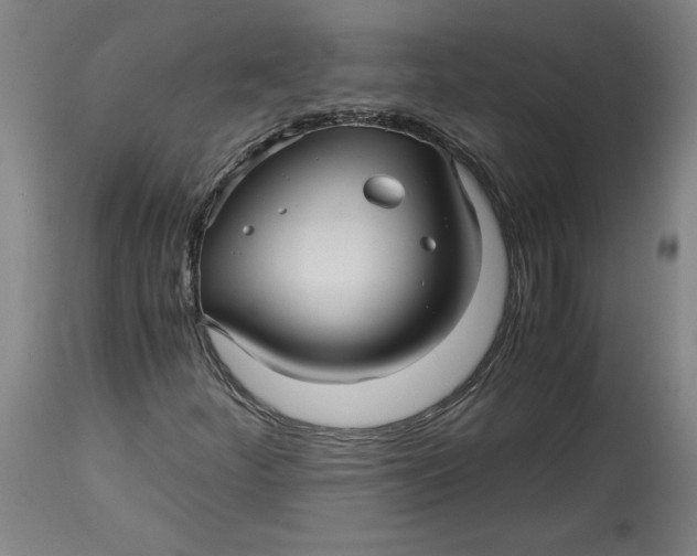 X0000114391252200911061507