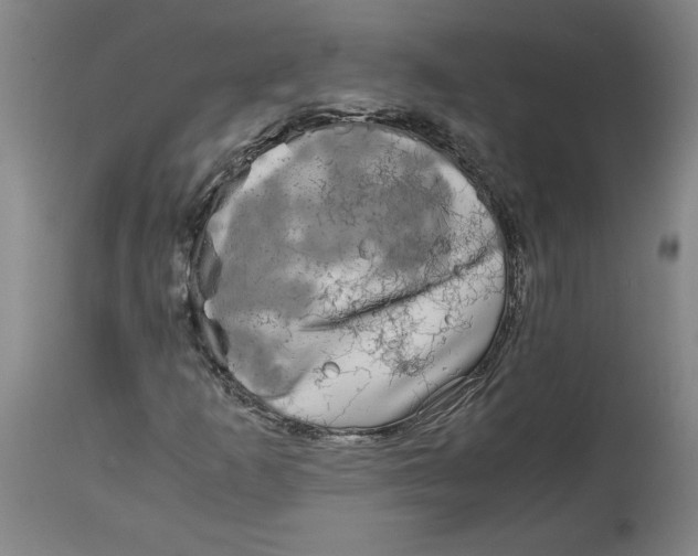 X0000114391253200911061507