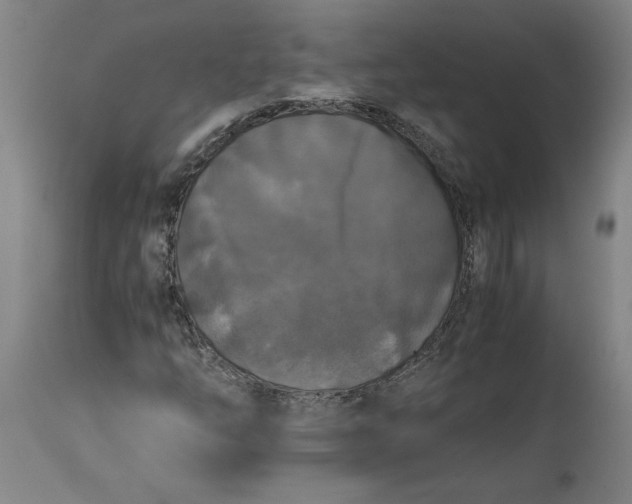 X0000114391254200911061507