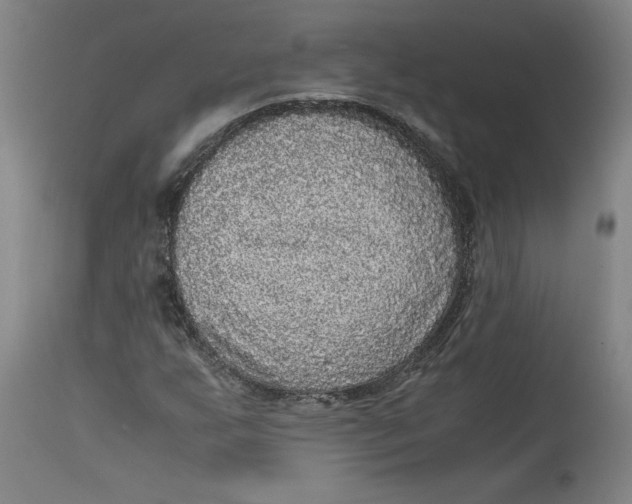 X0000114391255200911061507