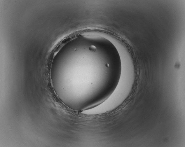 X0000114391256200911061507