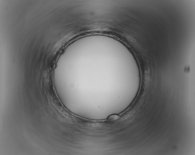 X0000114391257200911061507