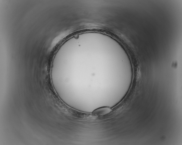 X0000114391261200911061507