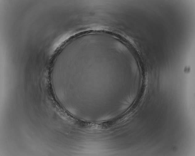 X0000114391263200911061507
