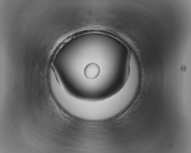 X0000114391264200911061507