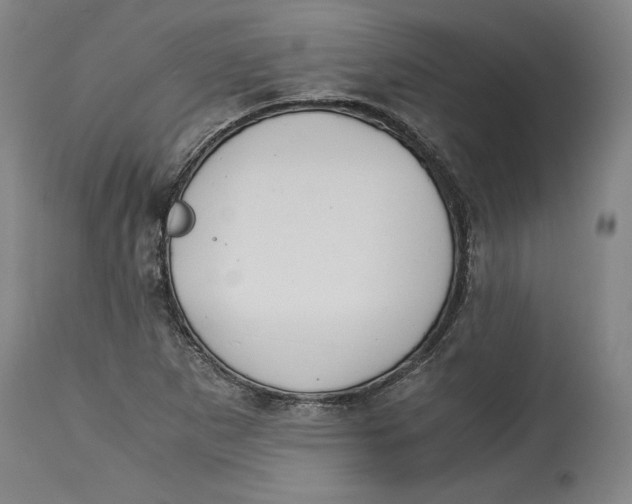X0000114391265200911061507