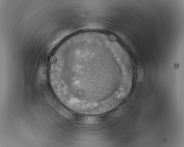 X0000114391266200911061507