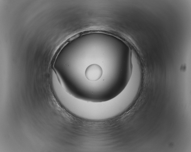 X0000114391268200911061507