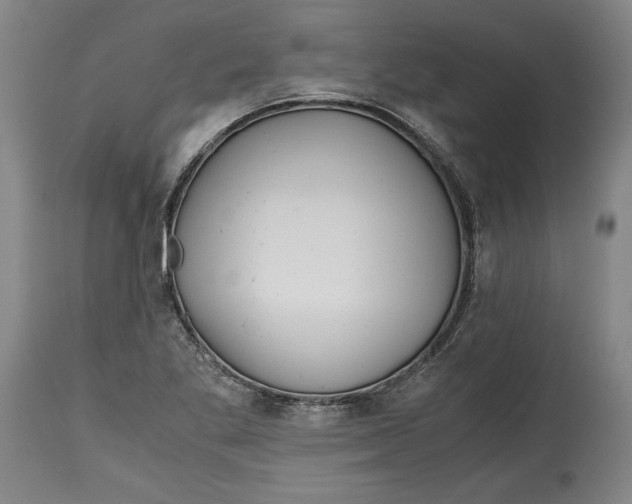 X0000114391269200911061507